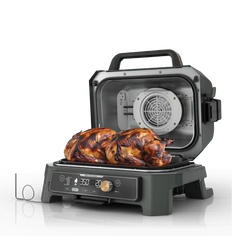 Ninja Woodfire Premium XL BBQ Grill in Green and Gold - Green & Gold
