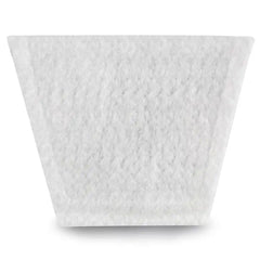Post-Motor Filter