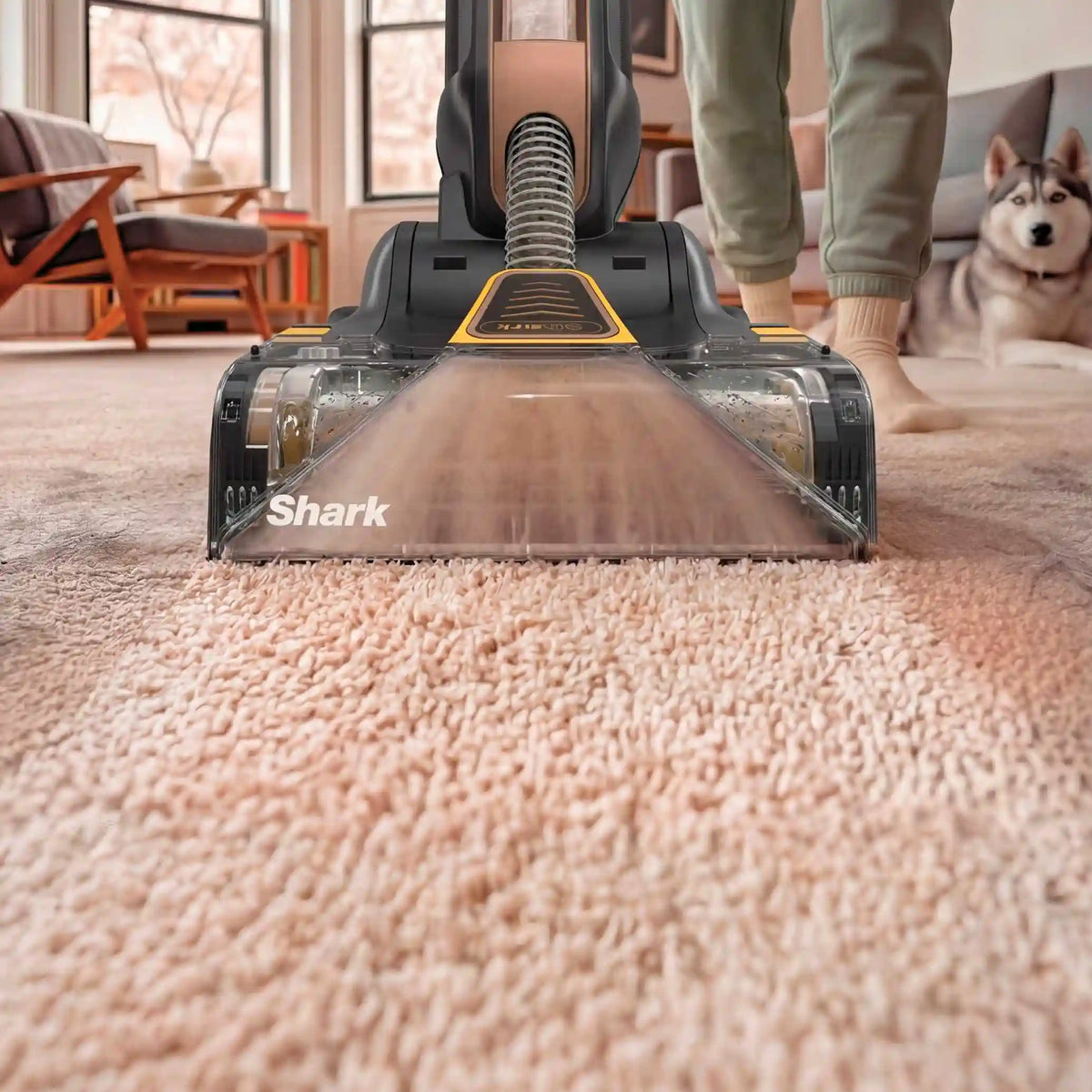 Shark CarpetForce™ HairPro Upright Carpet Cleaner in Black Teal - Black Teal