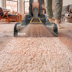 Shark CarpetForce™ HairPro Upright Carpet Cleaner in Black Teal - Black Teal