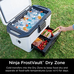 Ninja FrostVault™ 50qt Cooler in Navy Blue - Blue Grey