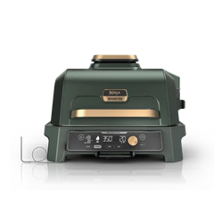 Ninja Woodfire Premium XL BBQ Grill in Green and Gold - Green & Gold