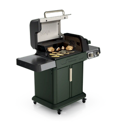 Ninja™ FlexFlame™ Grill and Smoker in Green - Green